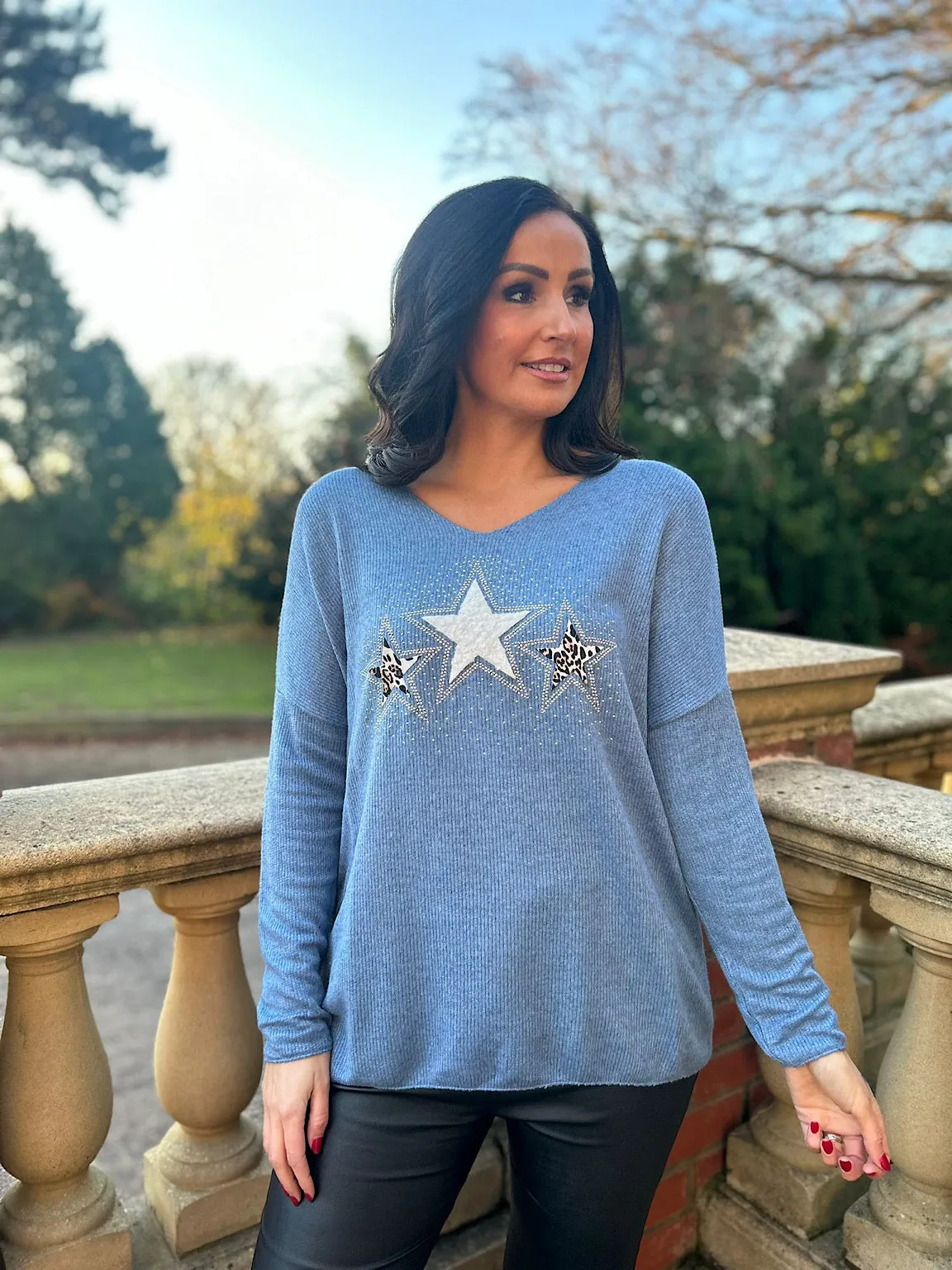 Denim Sparkle Star V Neck Knit