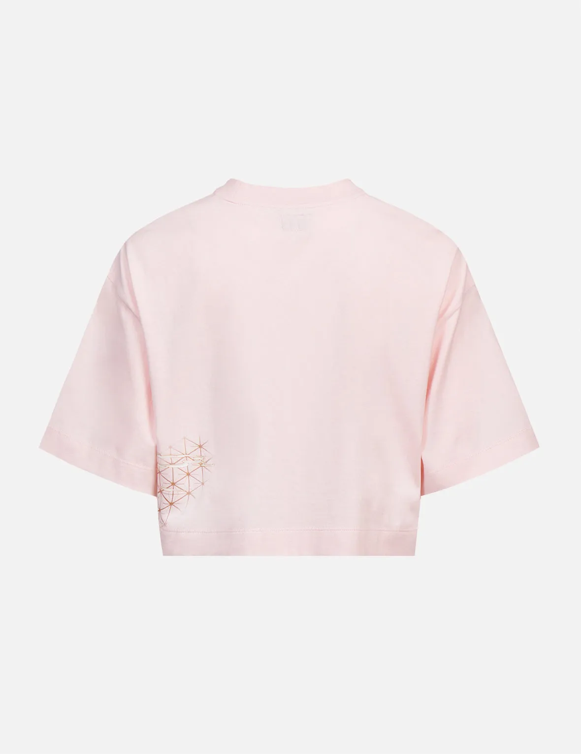 Japanese Graphics Print Cropped T-Shirt