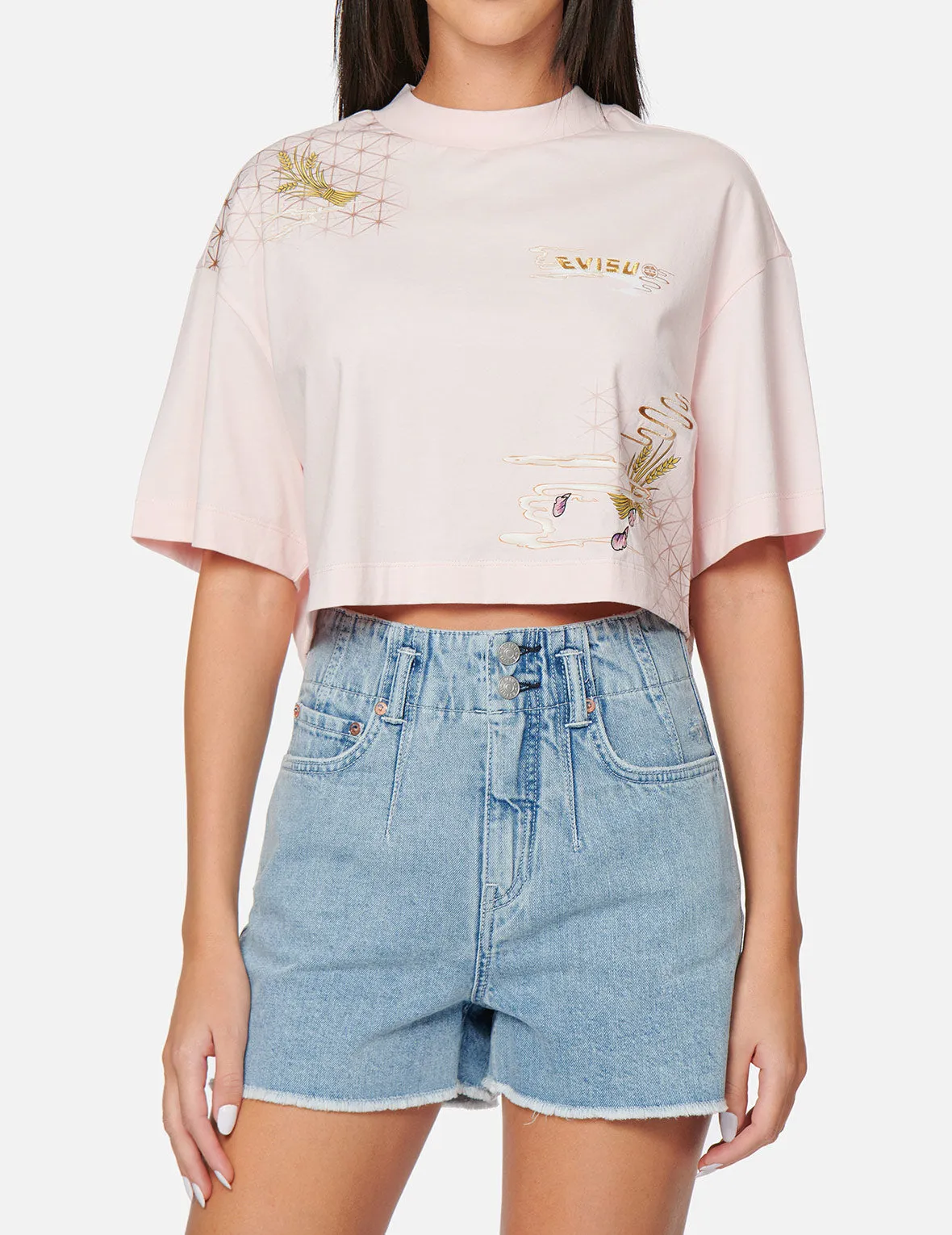 Japanese Graphics Print Cropped T-Shirt