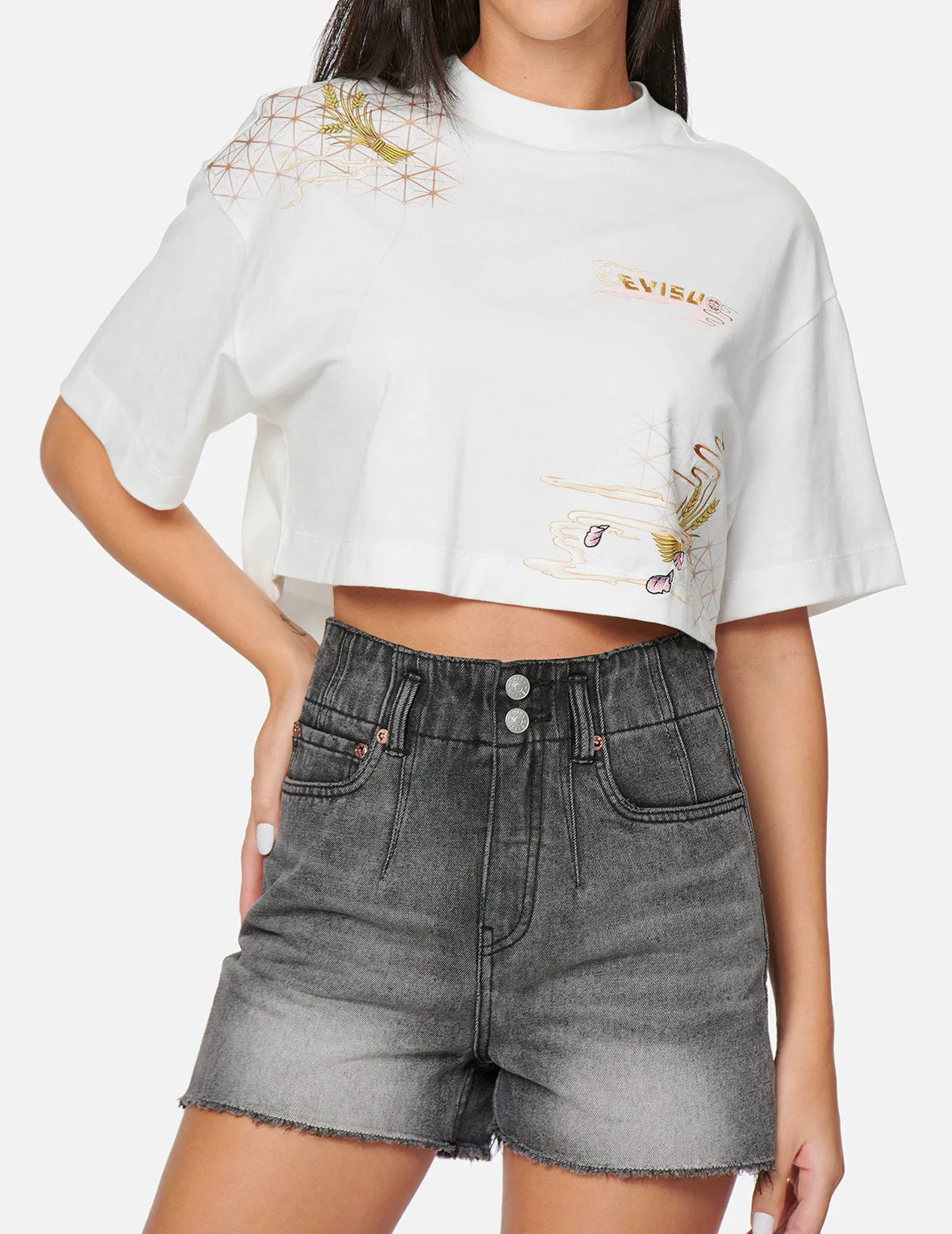 Japanese Graphics Print Cropped T-Shirt