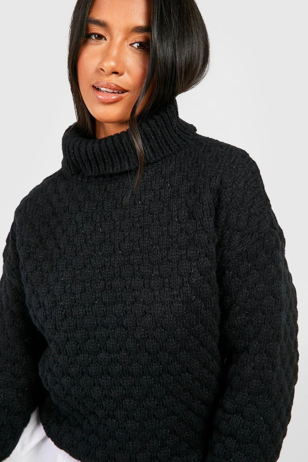 Petite Bubble Knit Roll Neck Jumper | Shop Jumpers & Cardigans at boohoo