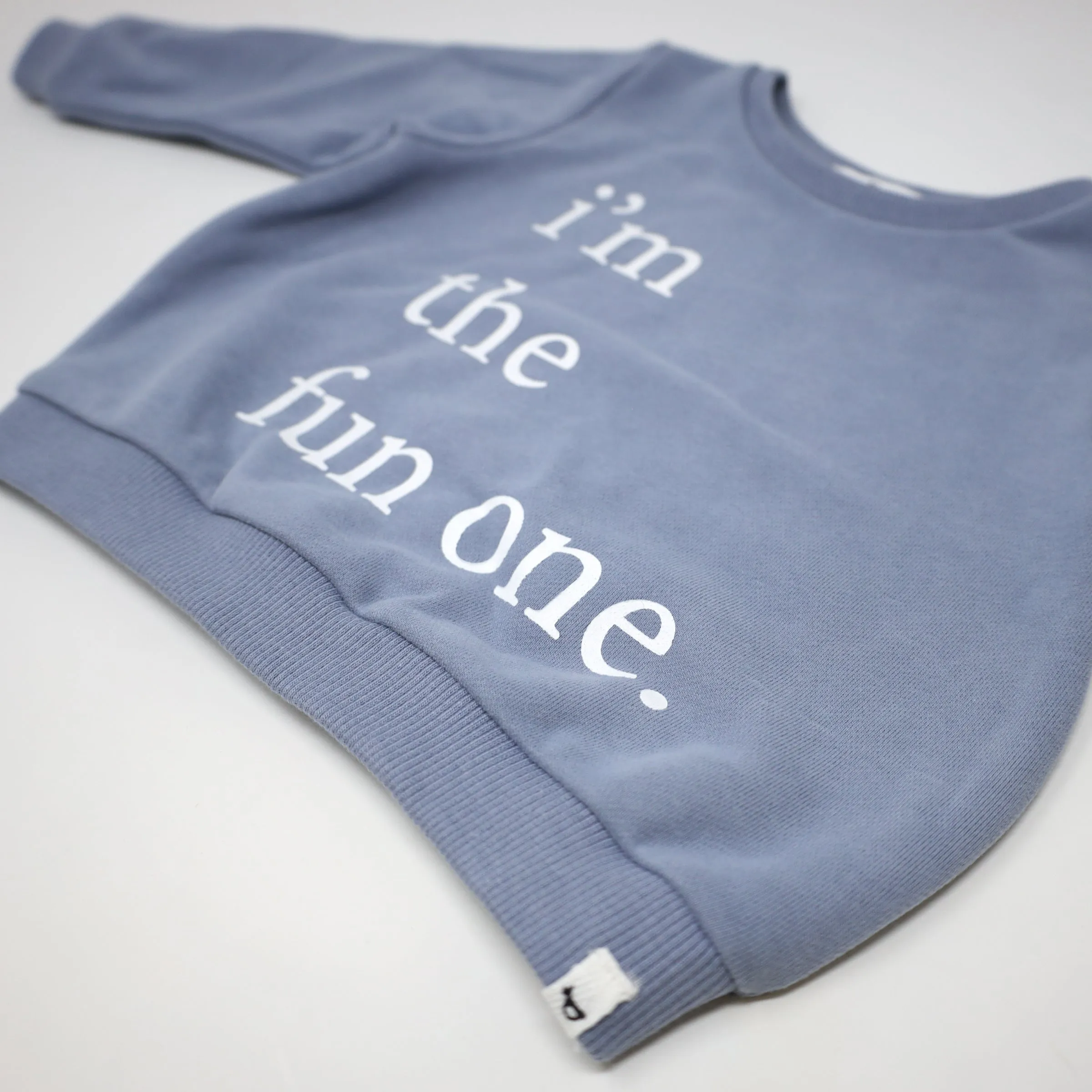 Brooklyn Boxy Sweatshirt with I'm the Fun One Print in Fog Gray