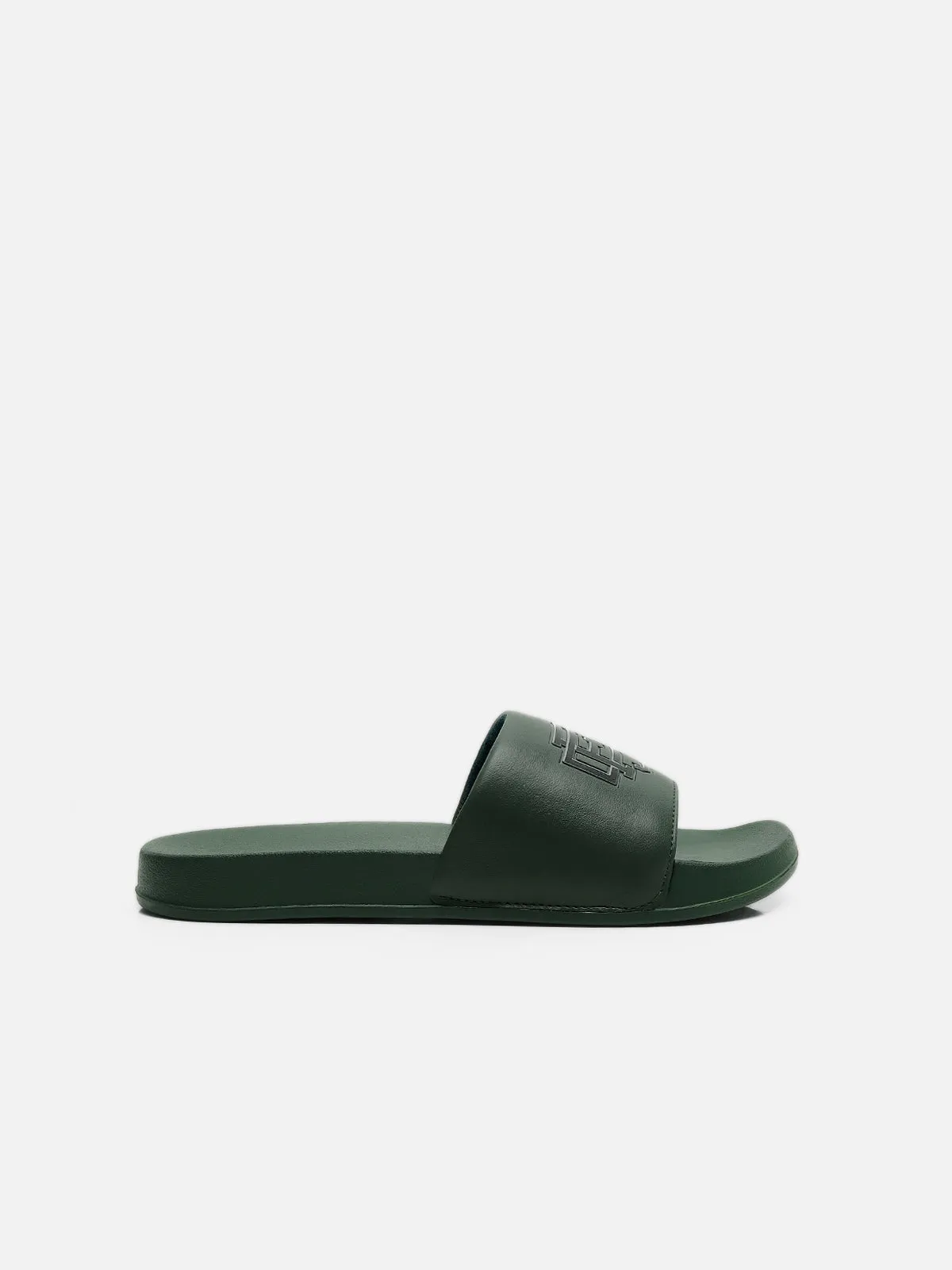 Olive Slides - FAMSD24-005