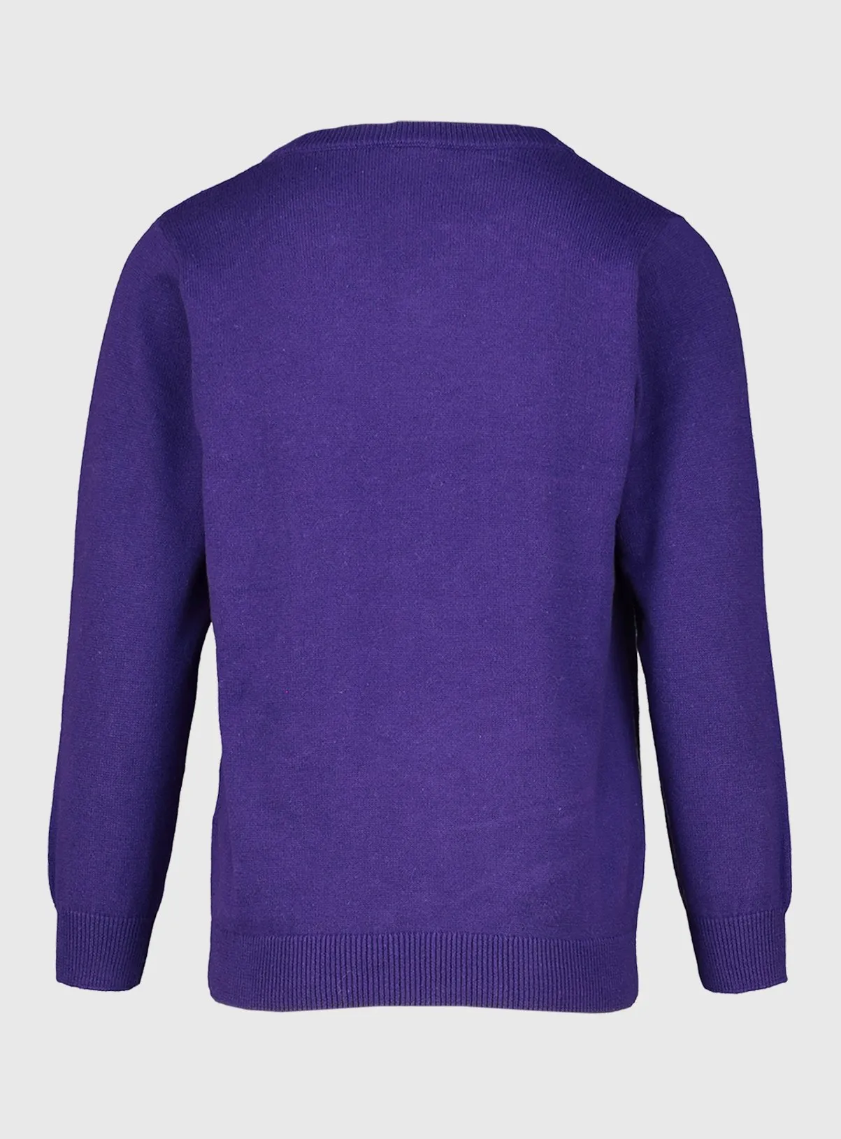 Purple V-Neck Jumpers 2 Pack - Size 8 - Kids' Clothing | Tu Clothing