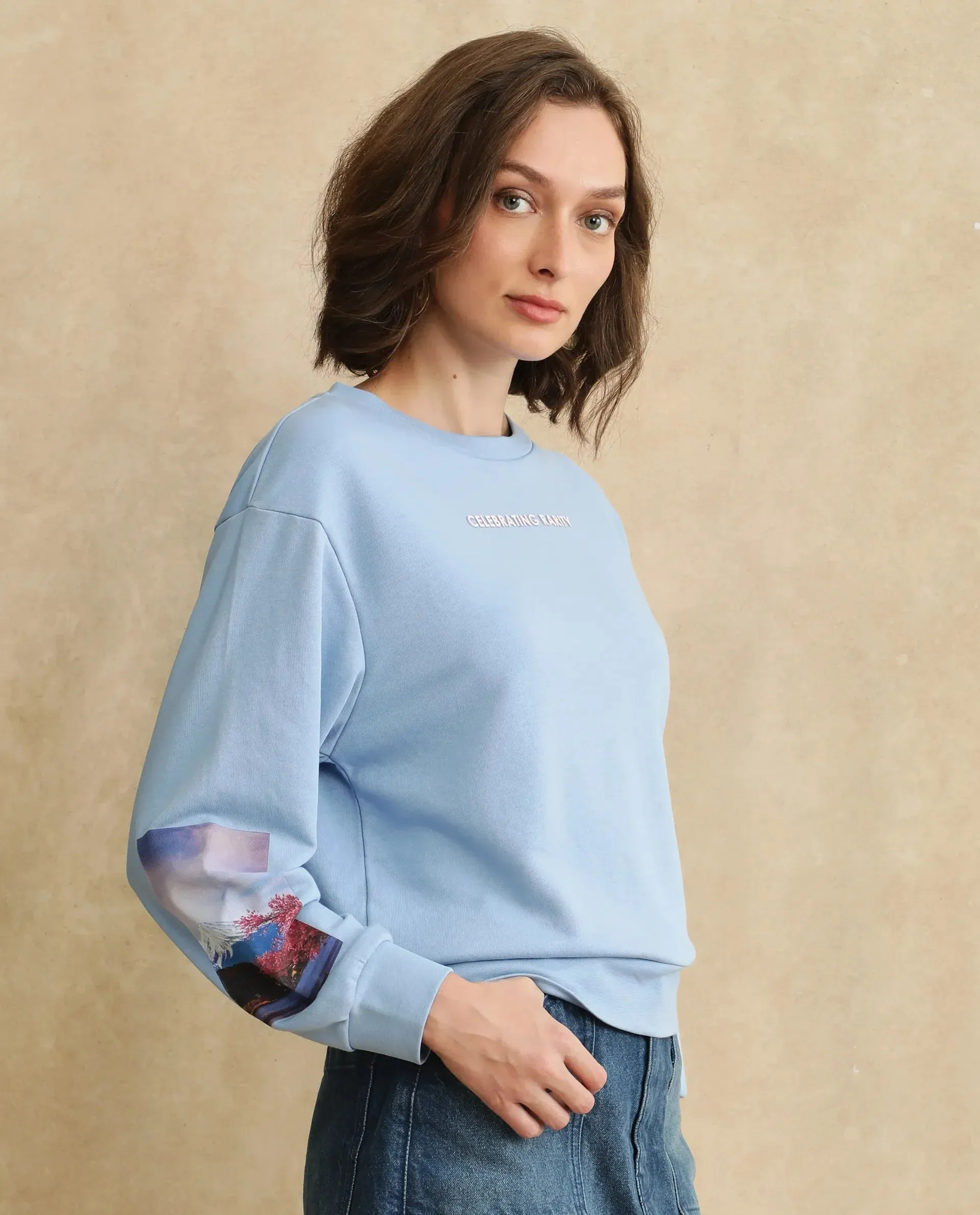 Rareism Women Briske Light Blue Cotton Blend Fabric Full Sleeve Crew Neck Relaxed Fit Graphic Print Sweatshirt