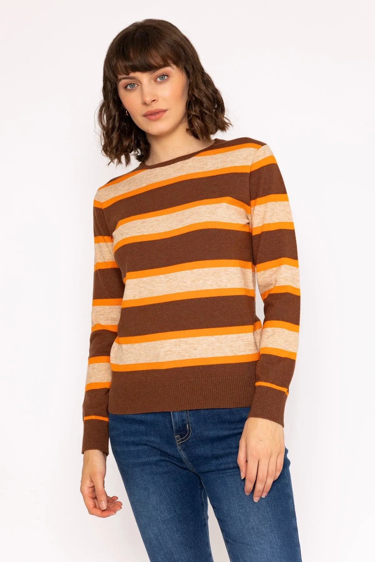 Soft Touch Stripe Knit Jumper in Brown